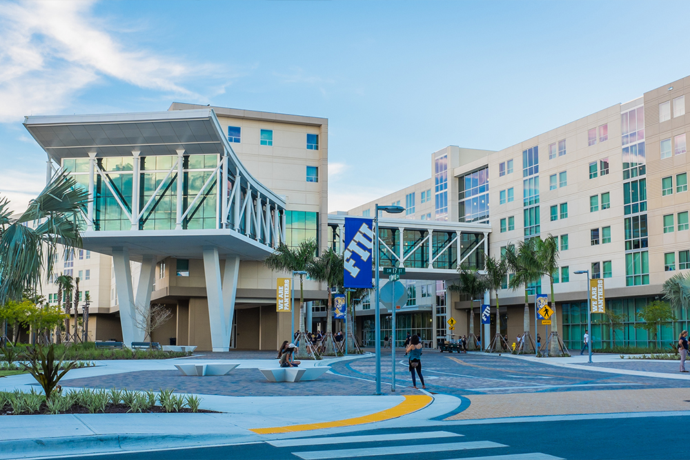 What to Consider Before Applying for Higher Education in Universities